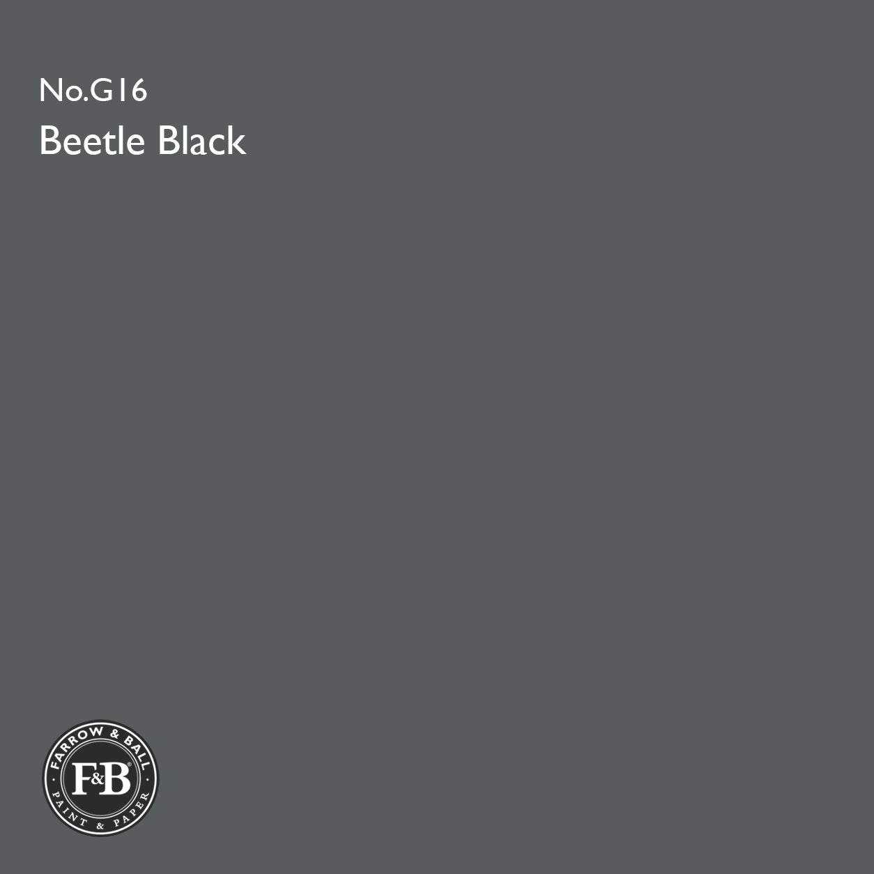 Farrow & Ball Beetle Black No.G16 Estate Emulsion paint colour sample