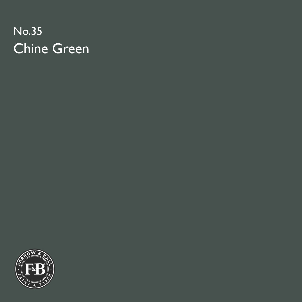 Farrow & Ball Chine Green No.35 Estate Emulsion paint colour sample