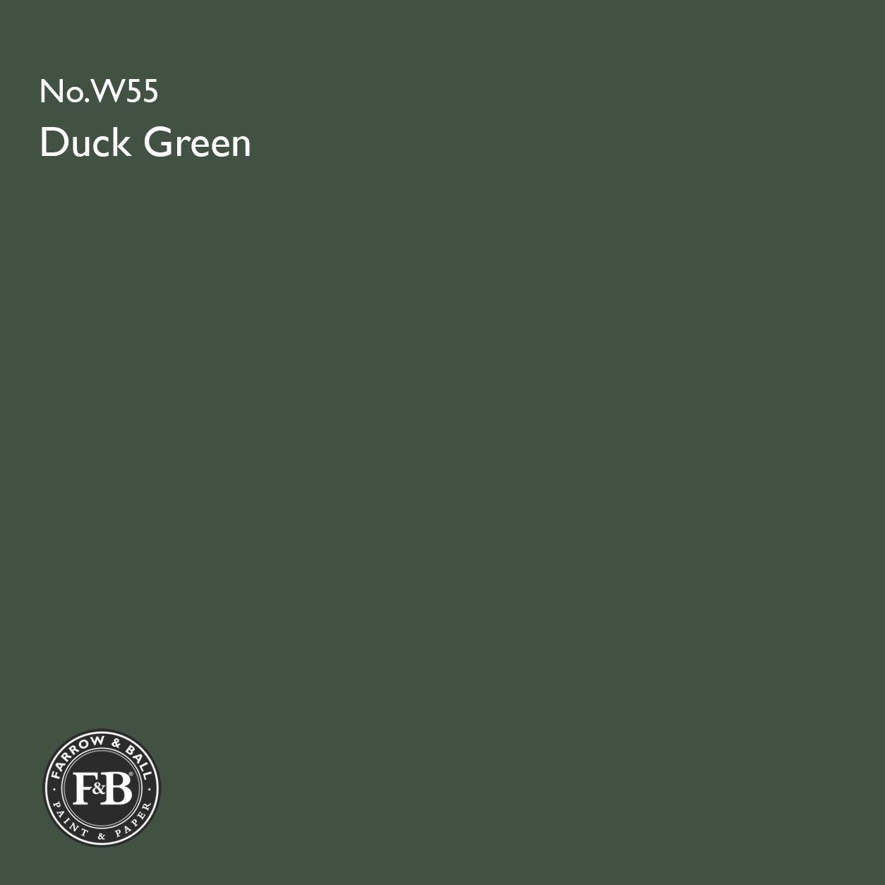 Farrow & Ball Duck Green No.W55 Estate Emulsion paint colour sample