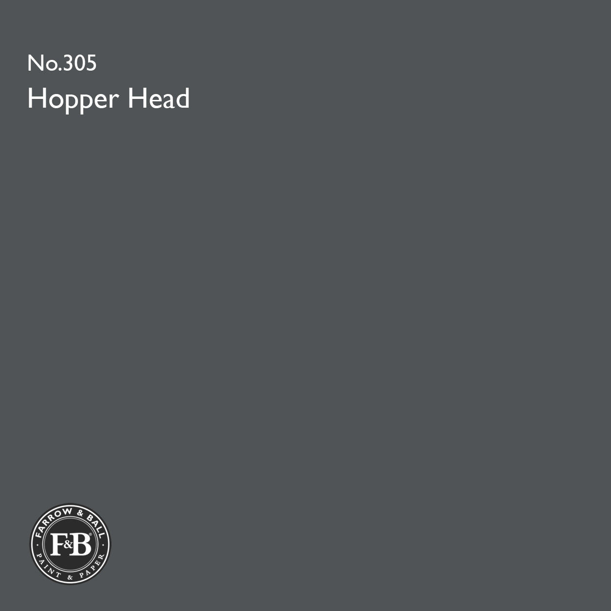 Farrow & Ball Hopper Head No.305 paint colour swatch