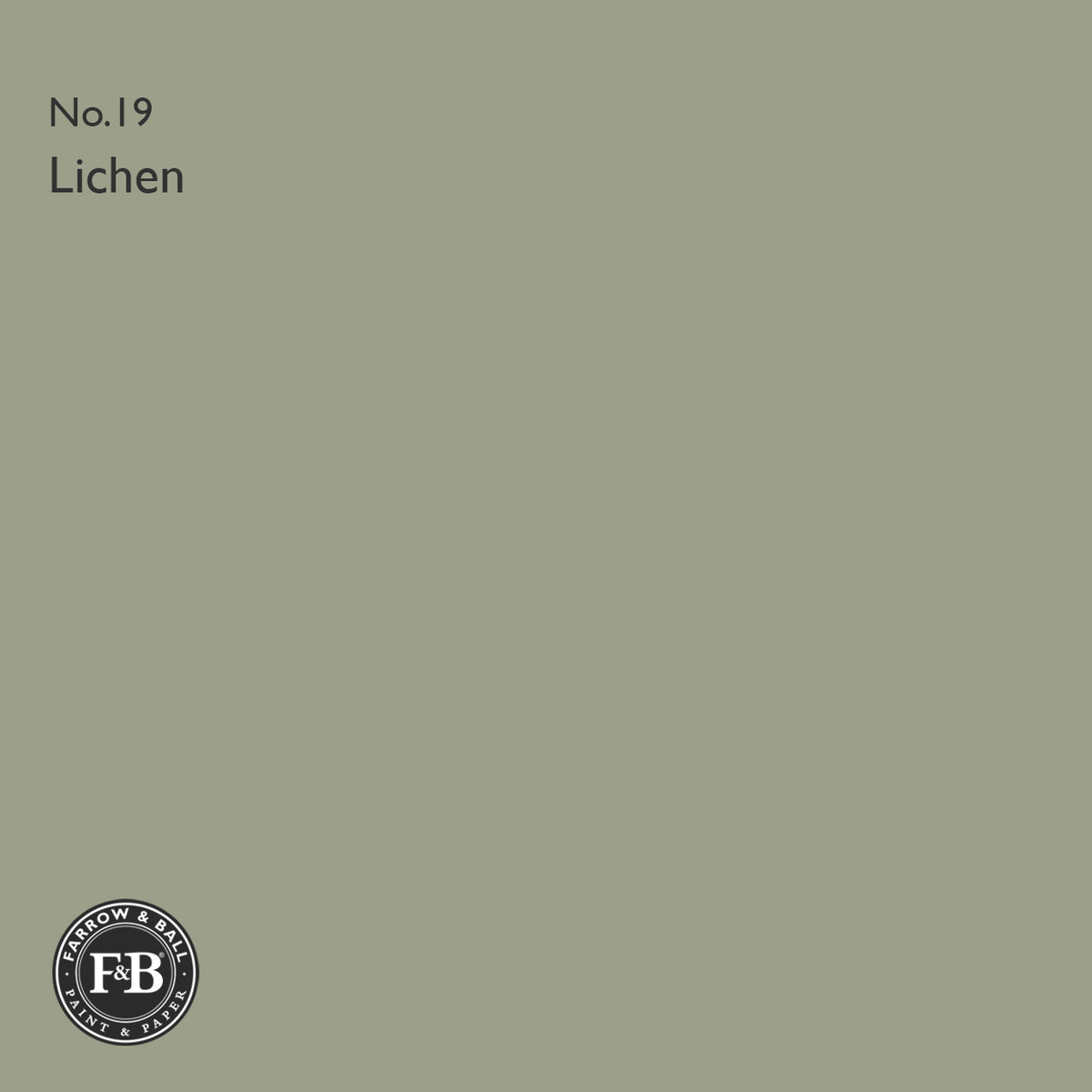 Farrow & Ball Lichen No.19 paint colour swatch