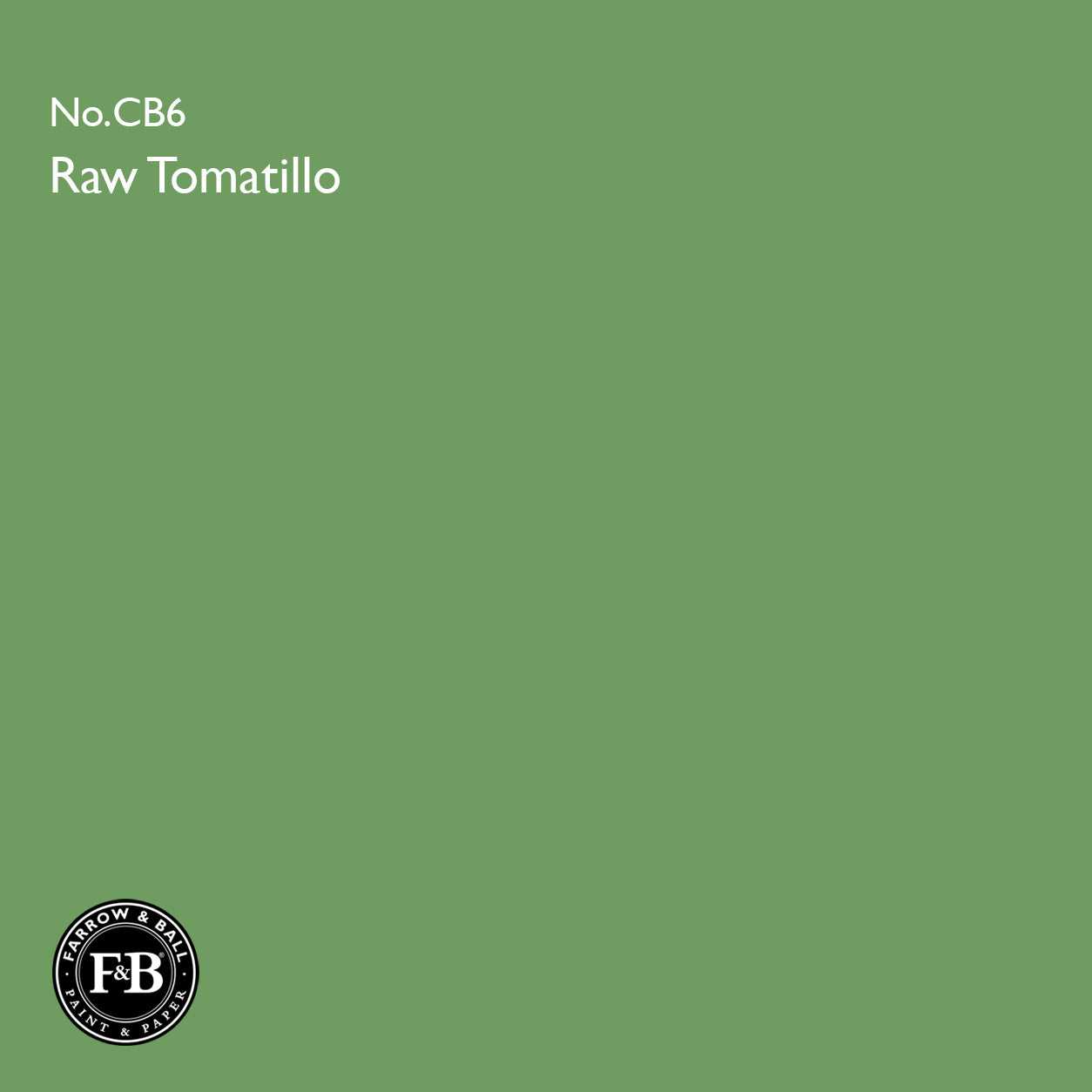 Farrow & Ball Raw Tomatillo No.CB6 paint colour swatch