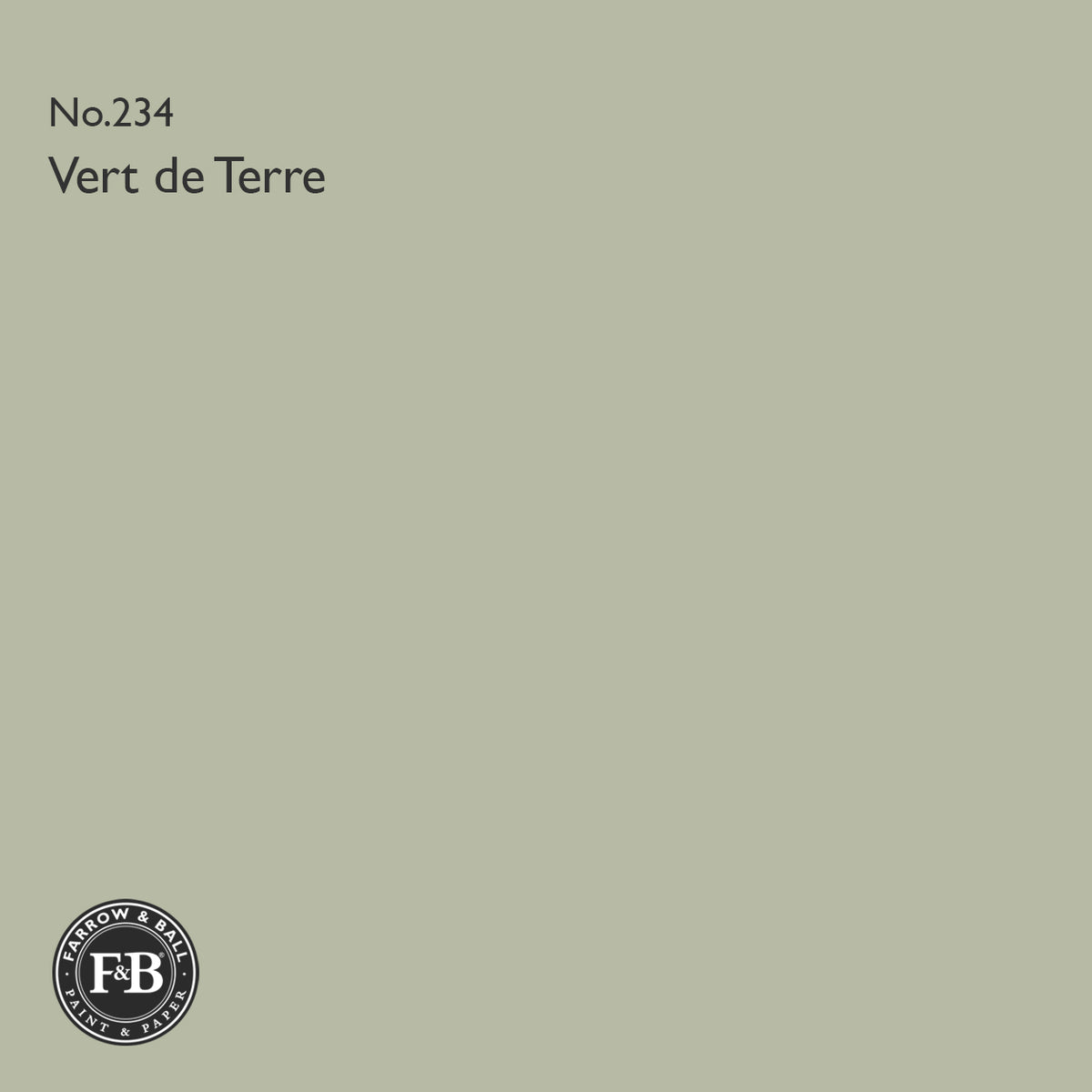 Farrow & Ball Vert de Terre No.234 paint colour swatch