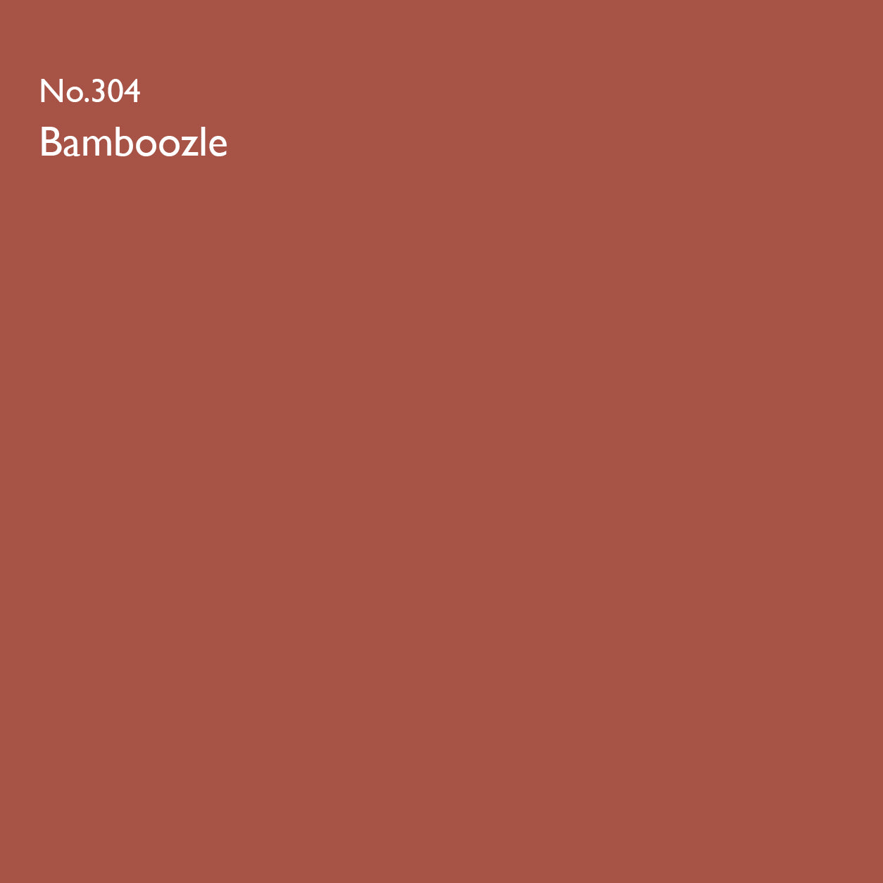Farrow & Ball Bamboozle No.304 paint colour swatch