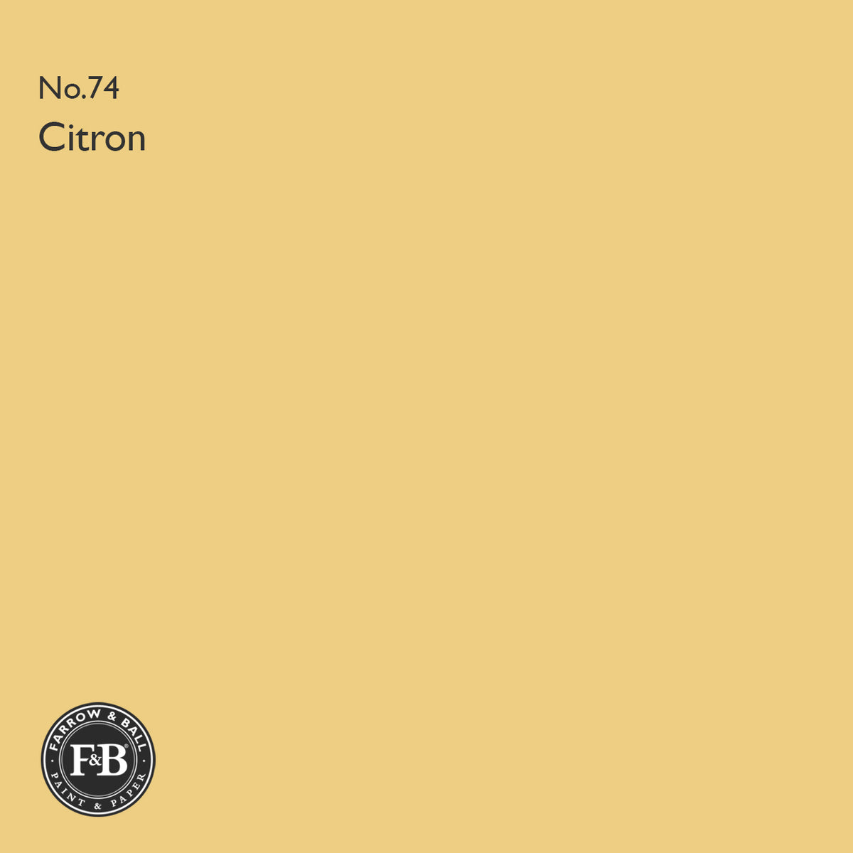 Farrow & Ball Sherbert Lemon No.9814 paint colour swatch