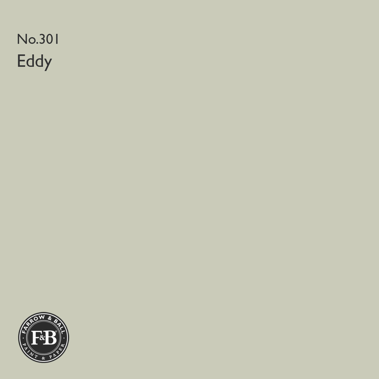 Farrow & Ball Eddy No.301 paint swatch
