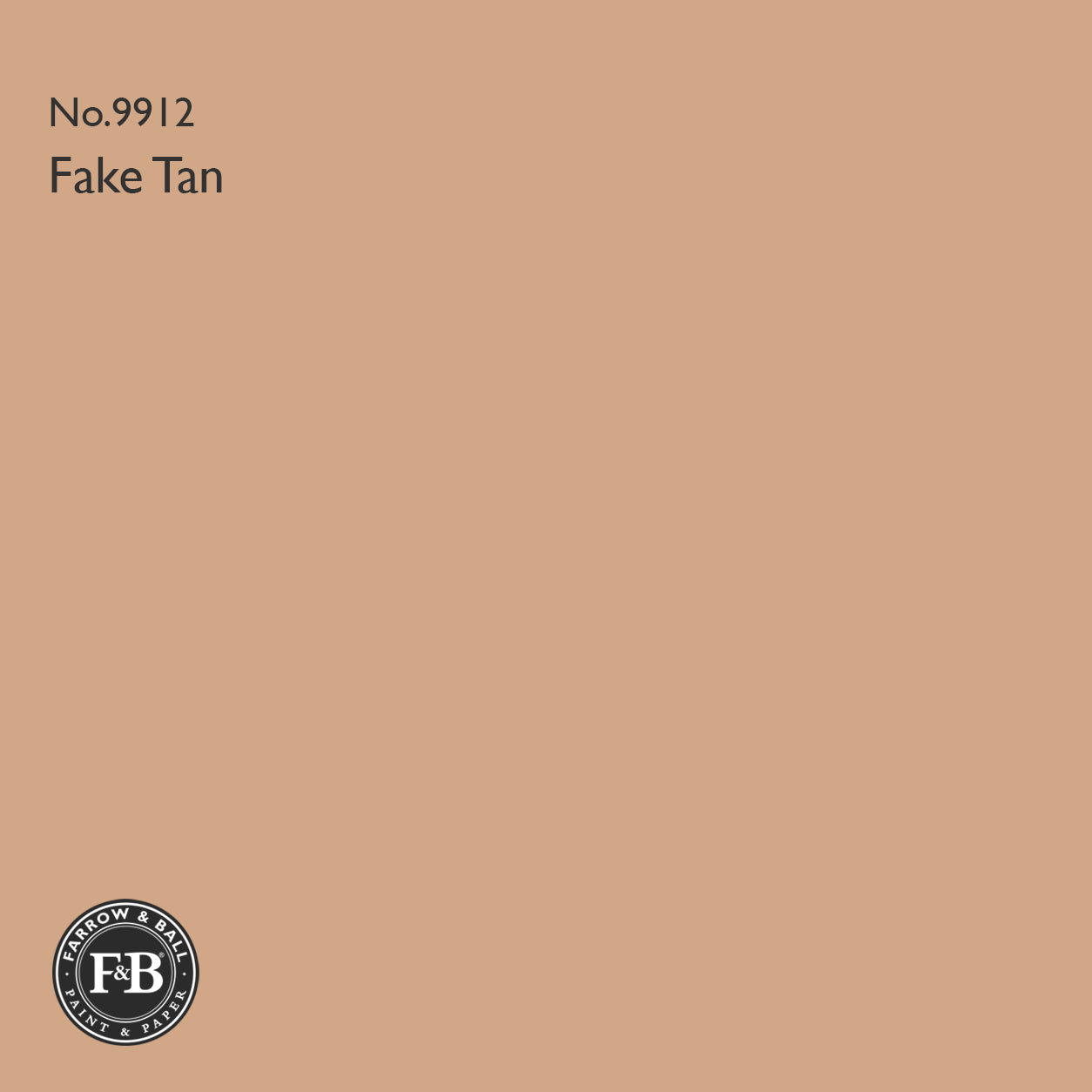 Farrow & Ball Fake Tan No.9912 Estate Emulsion paint colour sample