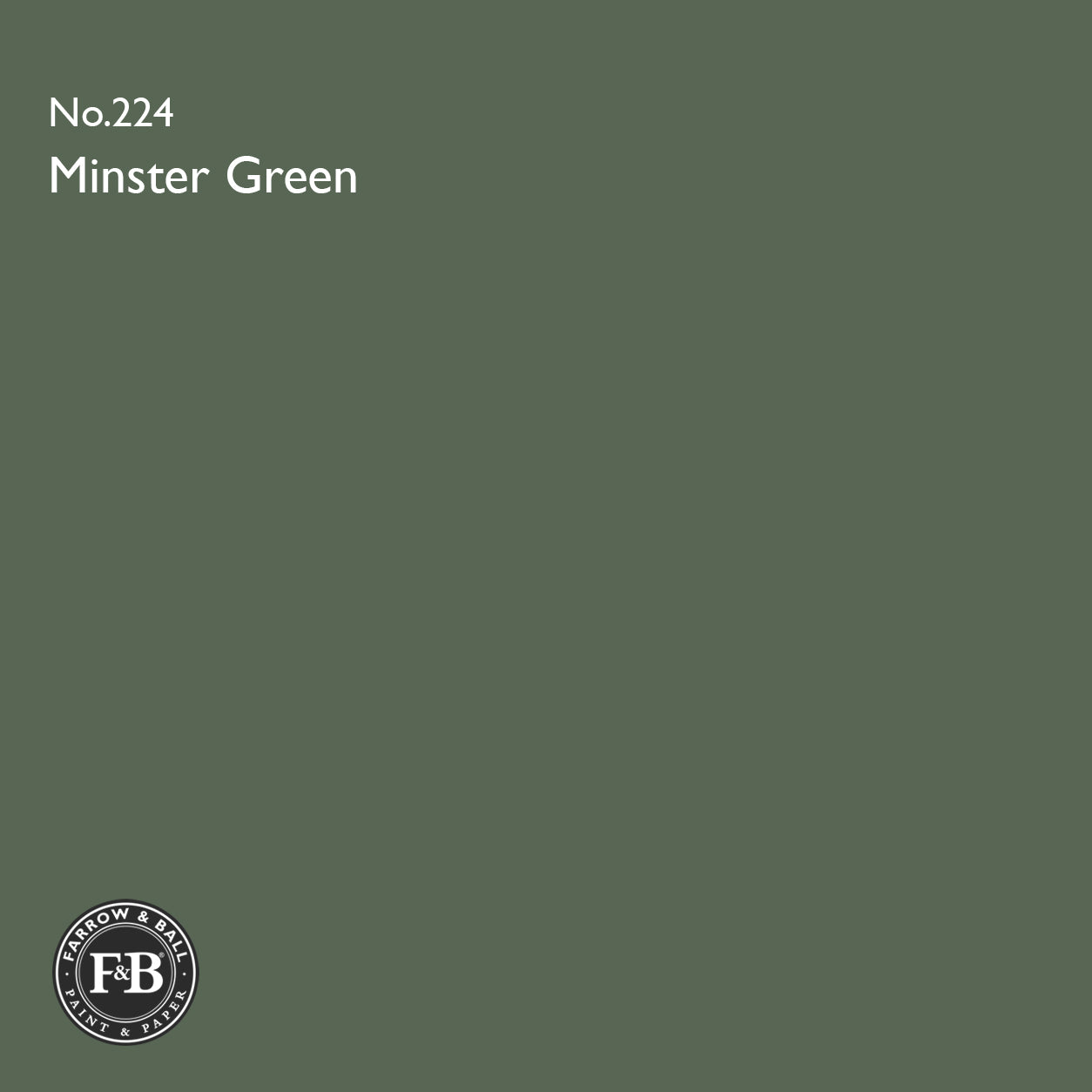 Farrow & Ball Minster Green No.224 Estate Emulsion paint colour sample