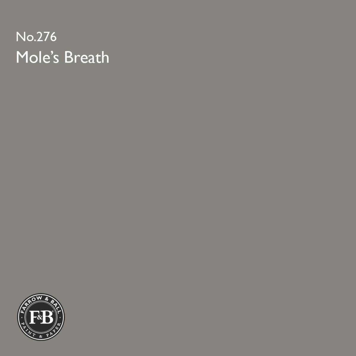 Farrow & Ball Mole's Breath No.276 paint colour swatch