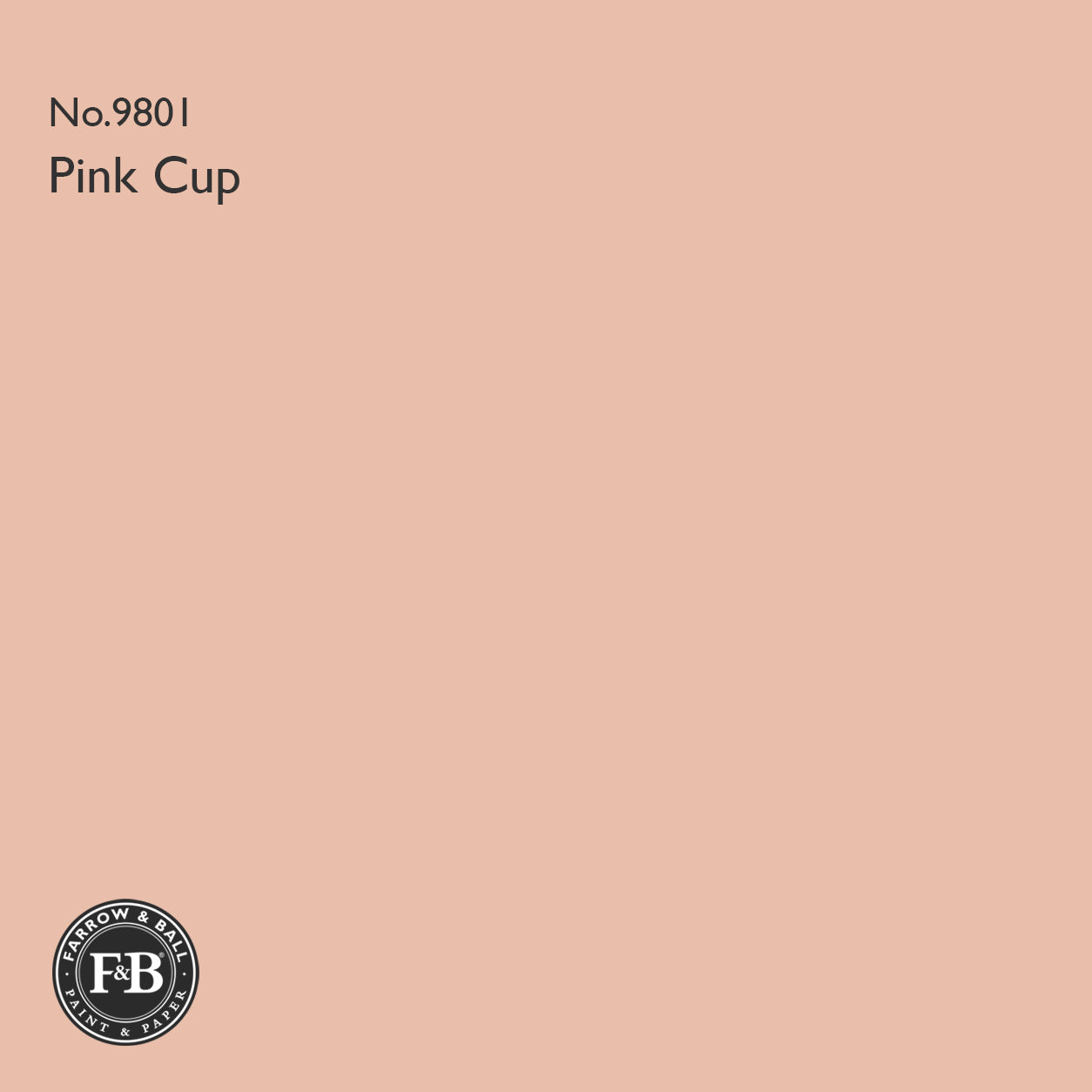 Farrow & Ball Pink Cup No.9801 Estate Emulsion paint colour sample