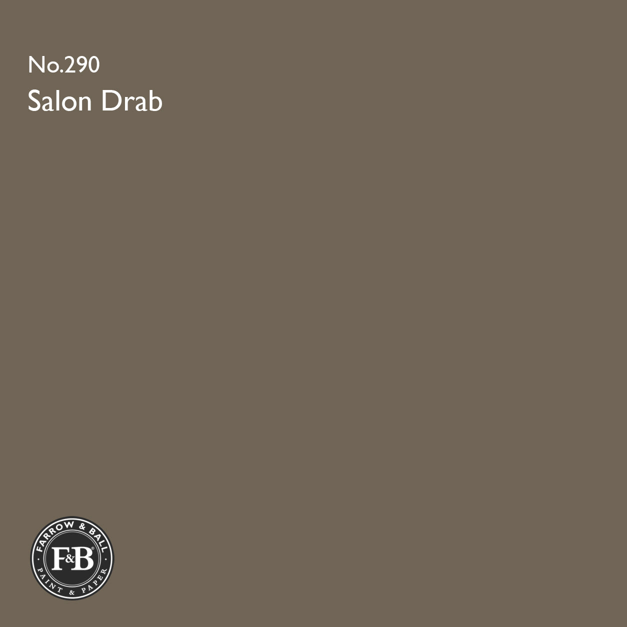 Farrow & Ball Salon Drab No.290 Estate Emulsion paint colour sample