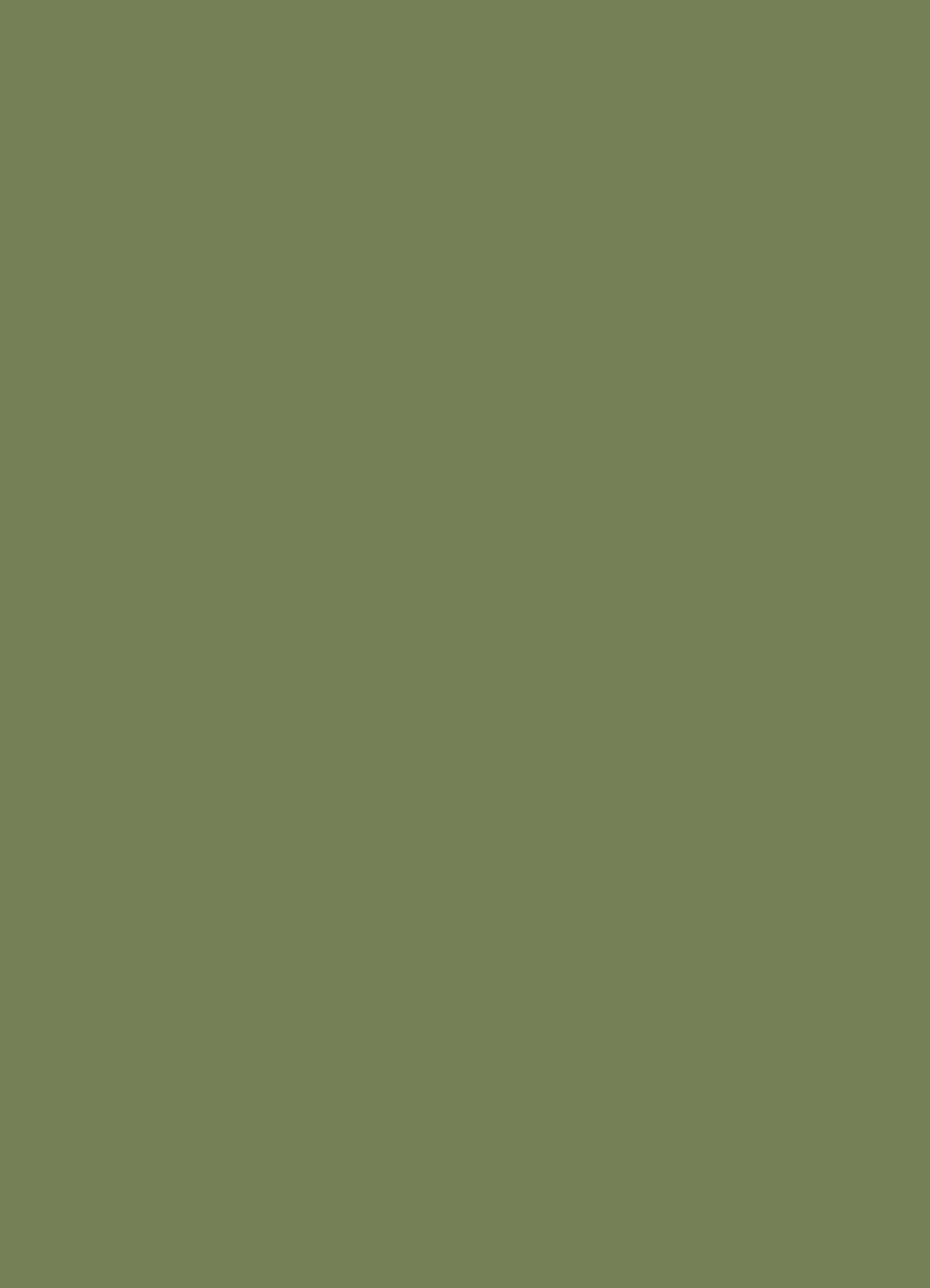 Farrow and Ball Sap Green No.199