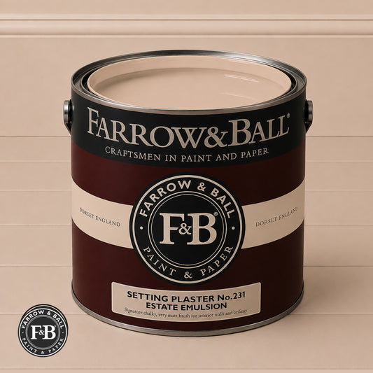 Farrow & Ball Setting Plaster No.231 paint colour in open paint tin