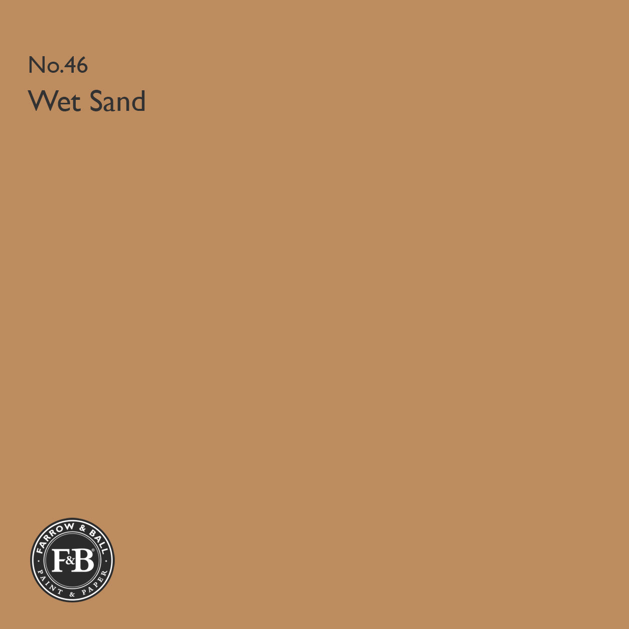 Farrow & Ball Wet Sand No.46 paint colour swatch